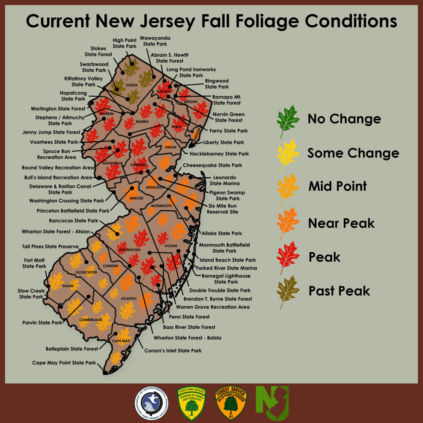 Fall Foliage Update